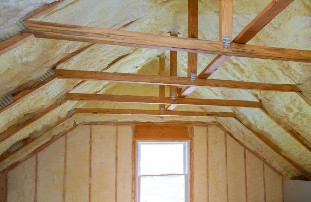 Best Fiberglass Insulation in Woodhaven, MI
