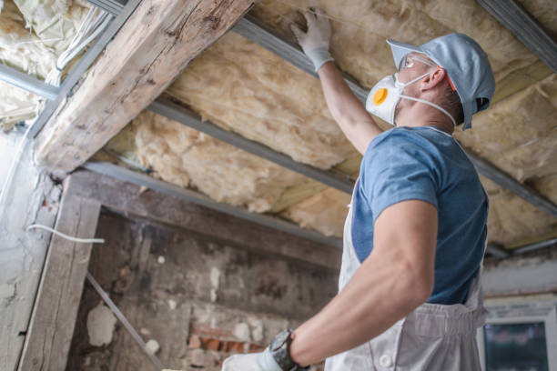 Types of Insulation We Offer in Woodhaven, MI