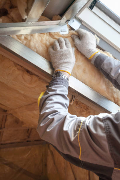Best DIY Insulation Kits and Guidance in Woodhaven, MI