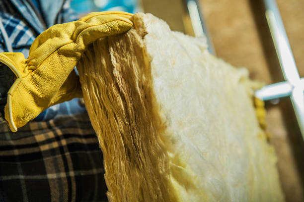 Best Residential Insulation in Woodhaven, MI