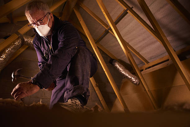 Best Energy Efficiency Insulation in Woodhaven, MI