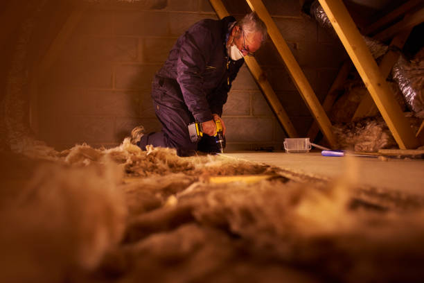 Best Cellulose Insulation in Woodhaven, MI